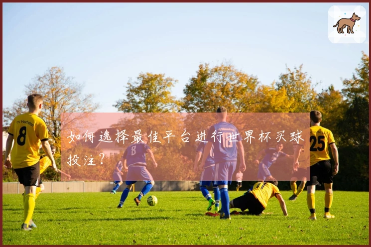 如何选择最佳平台进行世界杯买球投注？