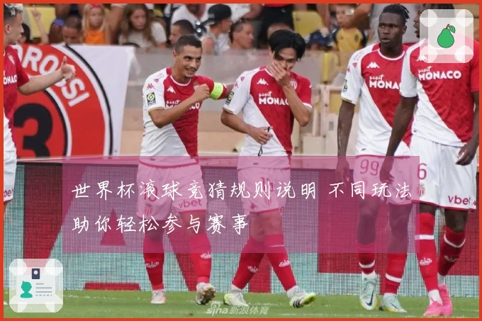世界杯滚球竞猜规则说明 不同玩法助你轻松参与赛事