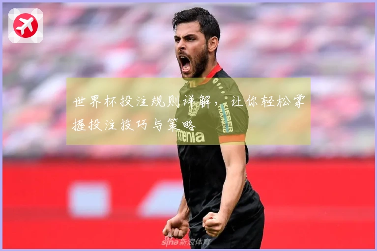 世界杯投注规则详解，让你轻松掌握投注技巧与策略