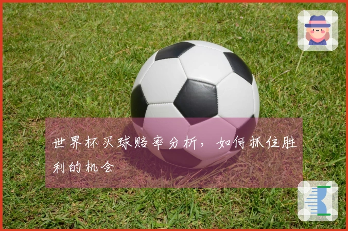 世界杯买球赔率分析，如何抓住胜利的机会